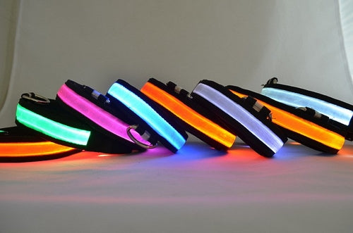 Collar LED Luminoso para Perros – Seguridad Nocturna para tu Mascota