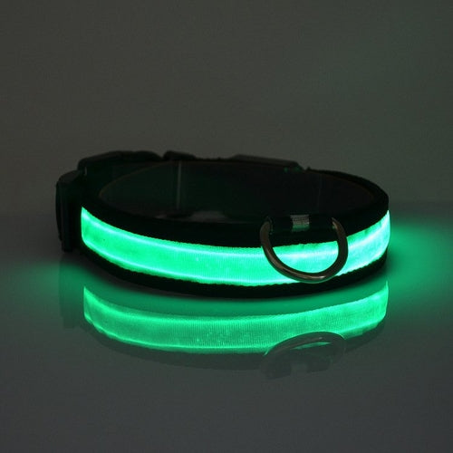 Collar LED Luminoso para Perros – Seguridad Nocturna para tu Mascota