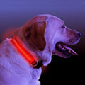 Collar LED Luminoso para Perros – Seguridad Nocturna para tu Mascota