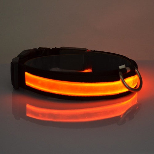 Collar LED Luminoso para Perros – Seguridad Nocturna para tu Mascota