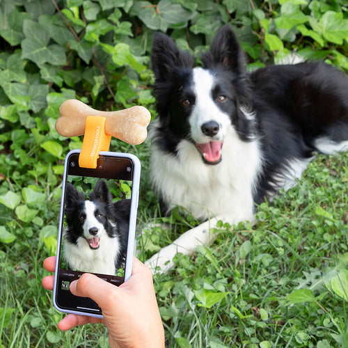 Clip Selfie para Mascotas Pefie